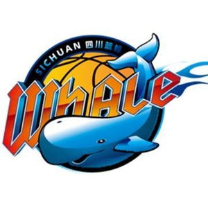 何时迎来曙光四川遭遇15连败赛季至今1胜24负