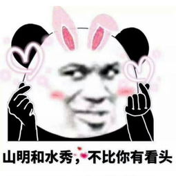 皮到无底线的表情包熊猫人的痛,你永远不懂