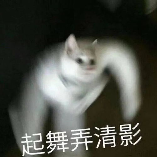 原地过年的大年初一,怎么花式拜年拿红包急