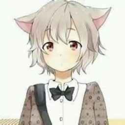 卡通情侣头像猫情侣