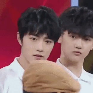 芯收藏夹