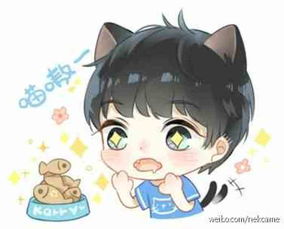 tfboys王俊凯q版漫画手绘crgenki猫丼堆糖,美好生活研究所