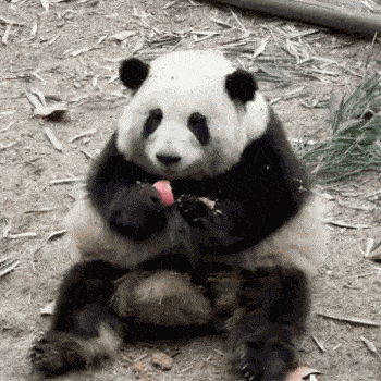 搞笑囧图成功迎娶赛马娘,跑步机的正确使用方式