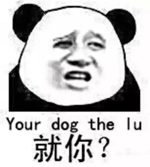 暴走漫画二次元动漫表情包搞笑斗图聊堆糖,美好生活研究所