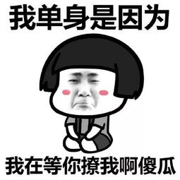 你为什么还单身