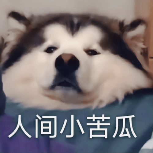 不要再跟我说什么逆袭了普通人,一生平安健康,就是最大的逆袭