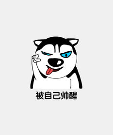 微信表情包二哈图图