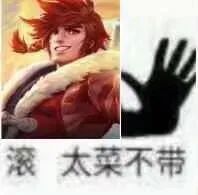 王者荣耀你没见过的英雄搞笑表情包