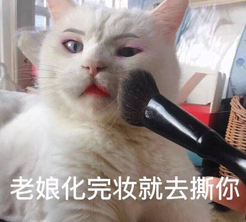 你有什么清奇有趣的表情包