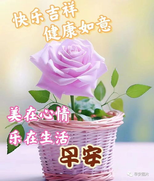 好看的早安动态祝福表情图片大全,早安动图美图大全