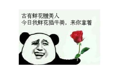 搞笑段子集锦正流行的搞笑句子,笑死我啦