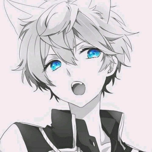 慢慢钱罗威zed高音质在线试听慢慢歌词歌曲下载酷狗音乐