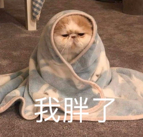 搞笑头像沙雕表情包赘婿