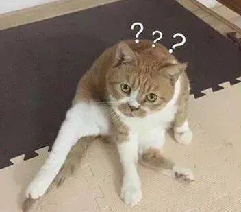 搞笑微信表情包