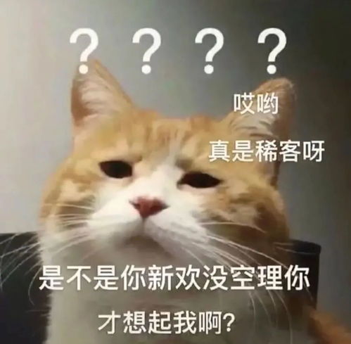 沙雕可爱表情包我怎么会生气呢