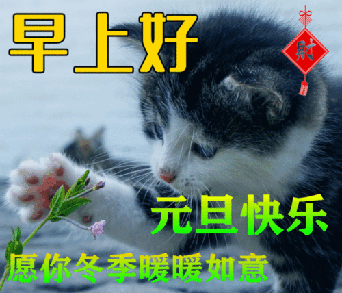 2022年1月1日元旦早上好问候祝福动态表情图片大全2022最新早安问候语动态图片表情
