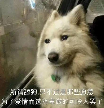 表情包配字搞笑文案舔狗