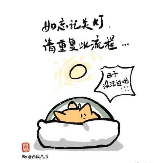 南方人睡觉流程表情包图片南方人睡觉流程表情包图片高清版分享预约v1.0嗨客手机下载站