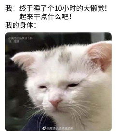 幽默搞笑段子集假期外出旅游,在人群中用自拍杆自拍的你