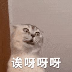 今日份沙雕搞笑表情包