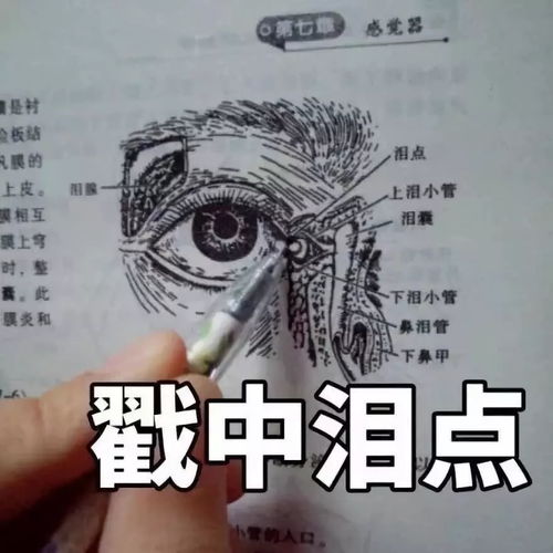 给医学新生的12条入学建议
