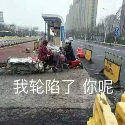 搞笑gif你们觉得哪个腿更好看