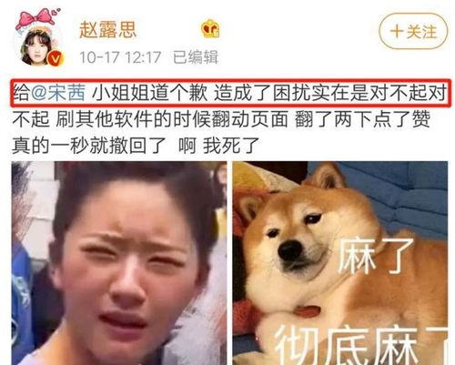 赵露思公开向宋茜道歉,谁注意宋茜说了啥情商高低一目了然