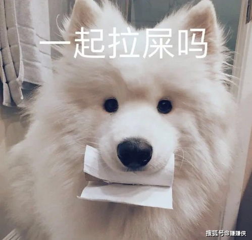 搞笑表情包图片一大群美女,却没人想听你说话