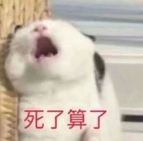 搞笑表情包取图片笑一笑,十年少,这不得成负数哇