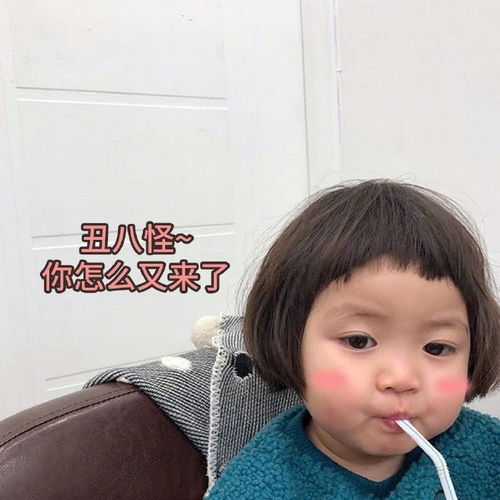 搞笑沙雕表情包想和我做姐妹吗,你可别说话,今晚做我枕边人