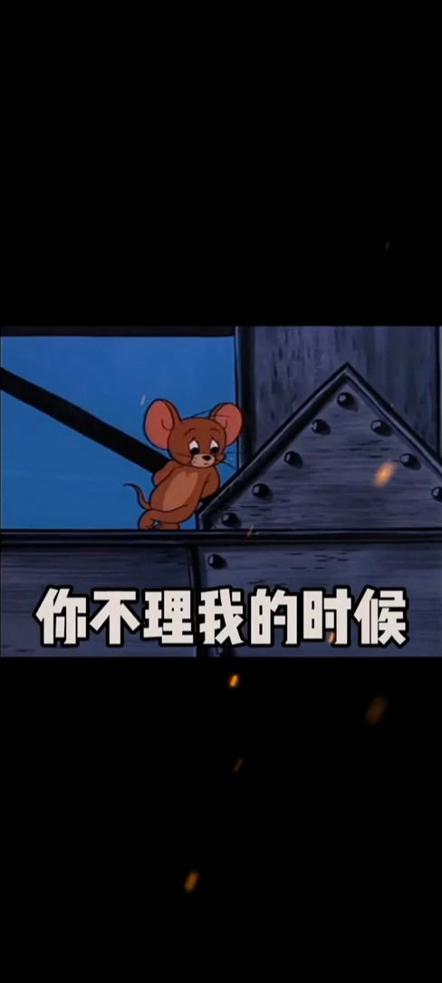 你不回我消息的时候我就盯着你的头像看表情包猫和老鼠搞笑视频
