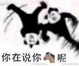 你肩上有花