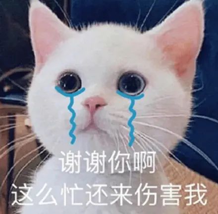 相似度99的明星脸合集,这确定不是本人吗