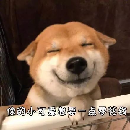 沙雕狗狗表情包来袭,赶紧收起来