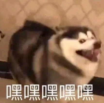 一男子花钱买挂日赚千万,问谁亏了