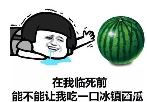 孩子常生病是不靠谱的爹妈造成的2家长是怎样一次次搞坏孩子脾胃的