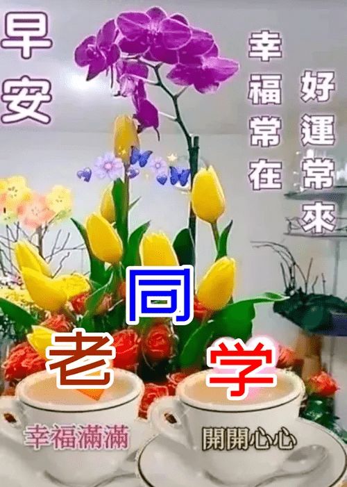 问候老同学早上好表情包,真诚的友谊在心间,祝你健康快乐每一天