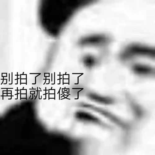 希望我喜欢的人拍一拍我