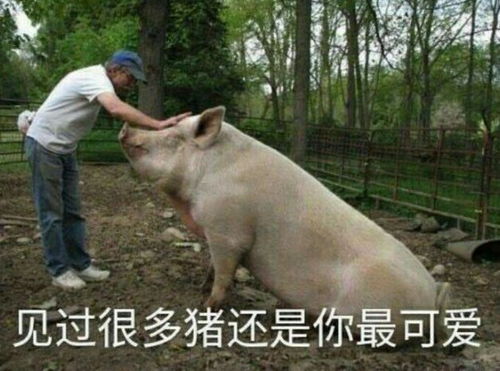 别人家的老师掀起了你的头盖骨,让我看看你的笑