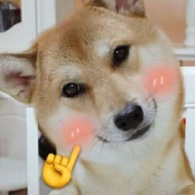 沙雕头像我妈说不能早恋
