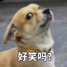 你小子飘了是吧搞笑表情包