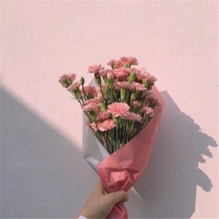 520情人节花束图片2020最新款520玫瑰花图片好看