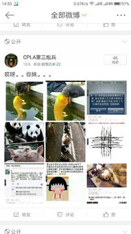 关于表情包,搞笑的文章的微信公众号