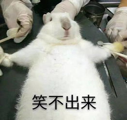 斗图专用这一波医学生的表情包很刺激搞笑频道