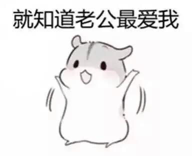 最近有一个老公老婆系列很火的表情包就是下面这种这种表情包原图怎么找求解答