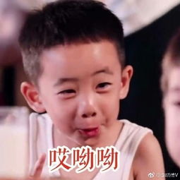 jasper表情包集锦翻白眼萌翻