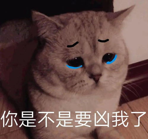 日常沙雕搞笑表情