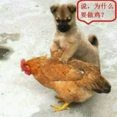 幽默搞笑gif妹子,你到底吃啥好东西了,至于高兴成这个样子
