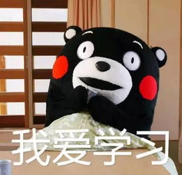 乐宁暑期班报名倒计时,15天让孩子的英语事半功倍
