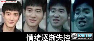 情绪逐渐稳定表情图片情绪逐渐稳定表情包下载飞翔下载